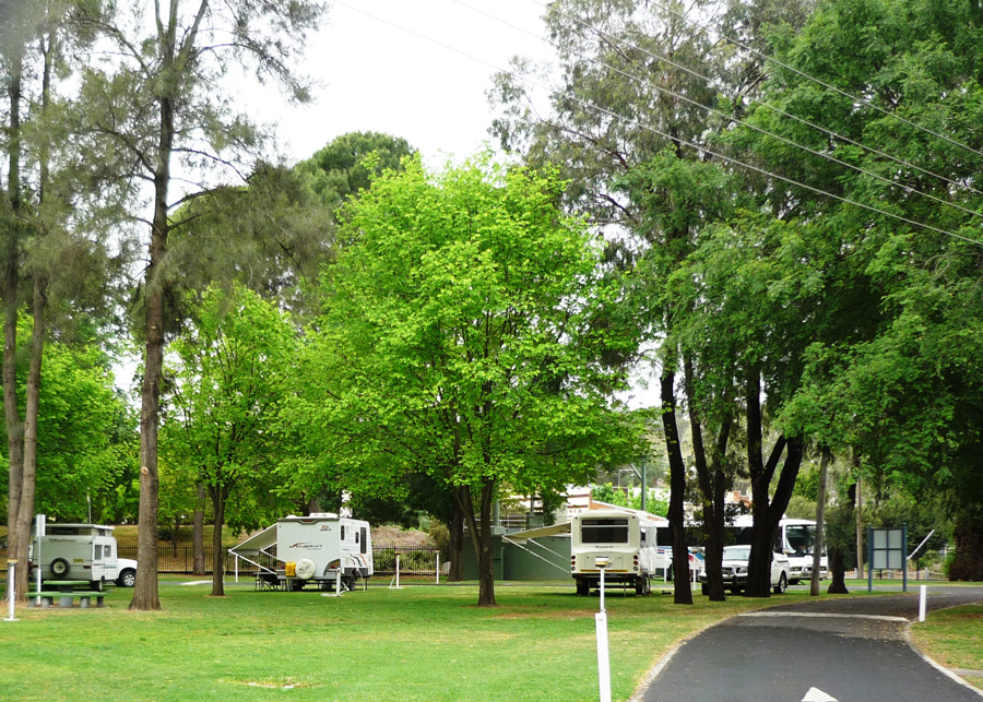 Cowra Van Park Powered Site