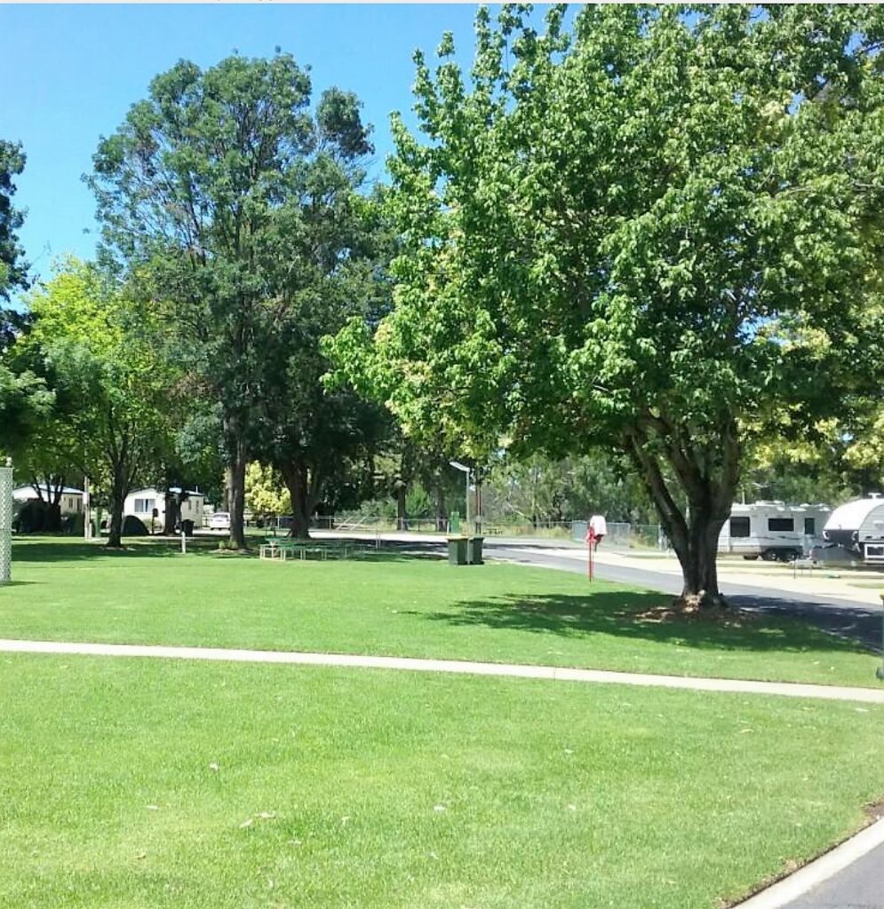 Cowra Van Park Unpowered Site